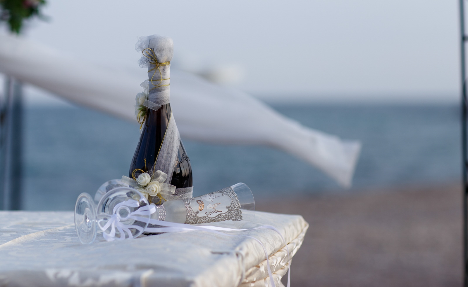 Wedding 293